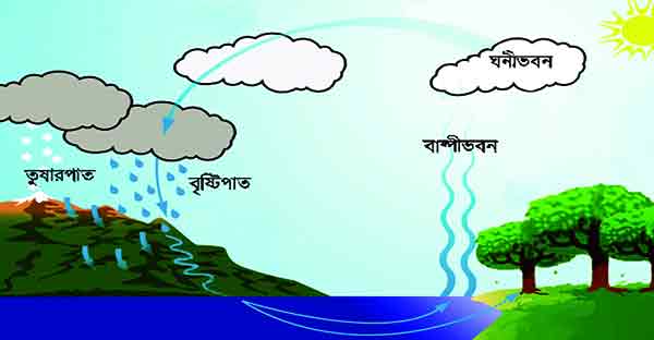 পানিচক্রের উপর বৃষ্টির প্রভাব